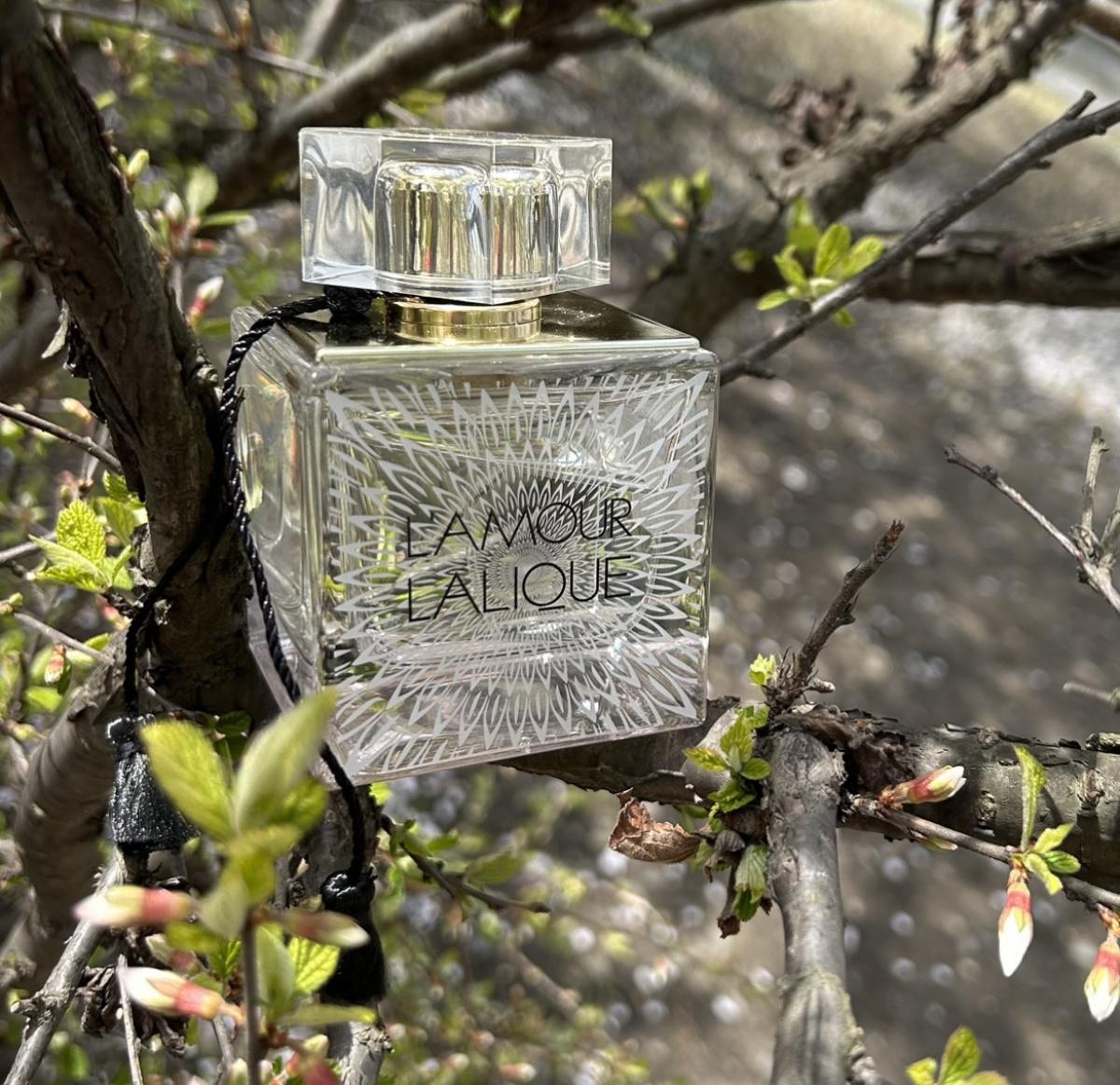 عطر ادکلن لامور لالیک(لاو) L'amour Lalique Perfume
