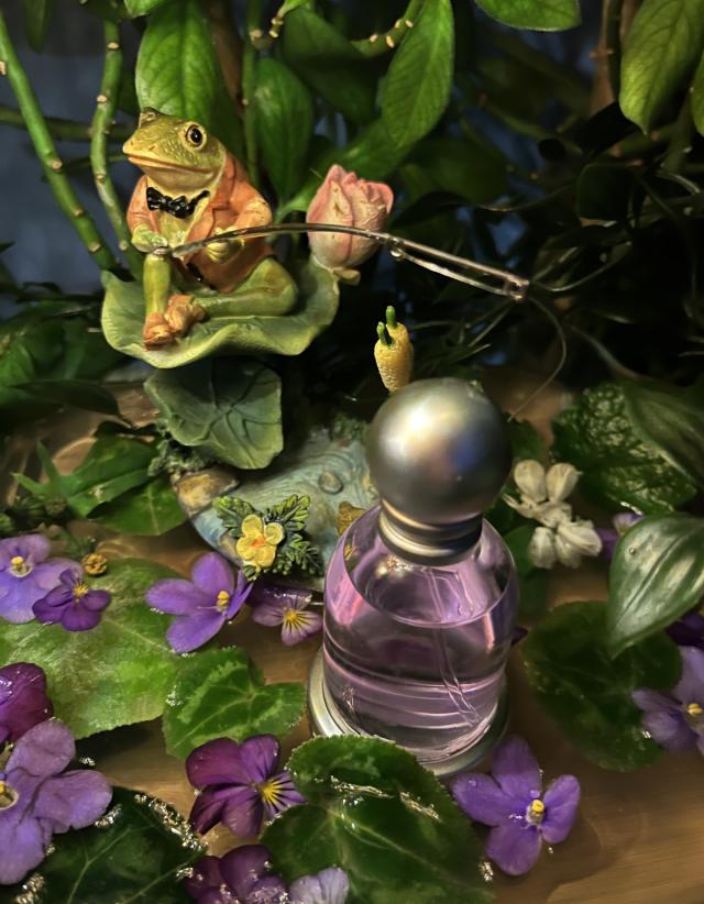 عطر و ادکلن هالووین Halloween Perfume