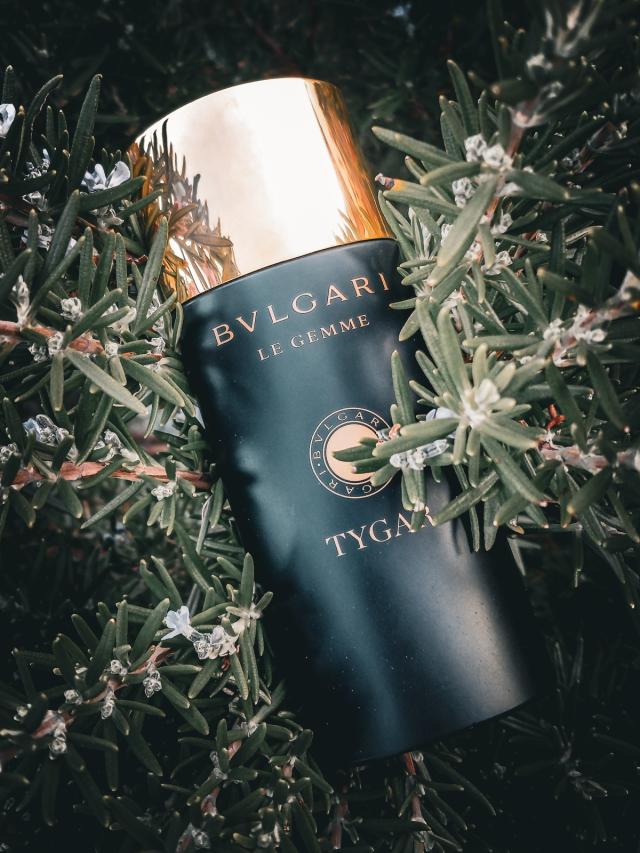 عطر ادکلن تیگار بولگاری(تایگار) Tygar Bvlgari Perfume